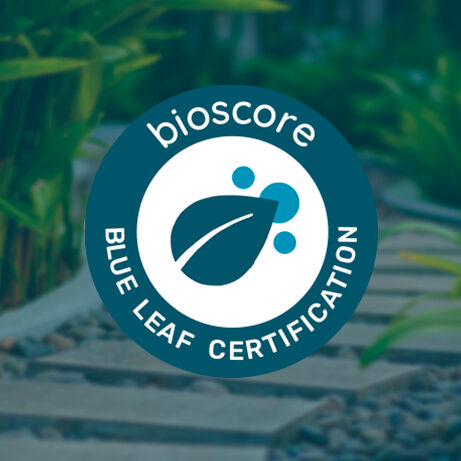 Certificado Blue Leaf